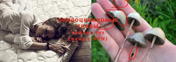 молекула духа Балабаново